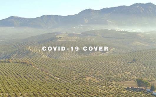 Andalucia_Covid_insurance_cover.jpg