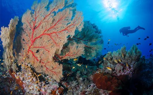 The Philippines wins two World Travel Awards