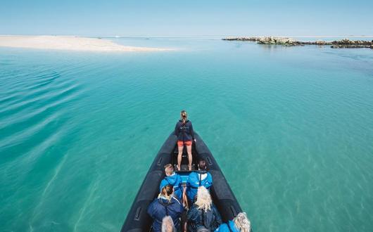 The active adventures on Jersey for nature lovers