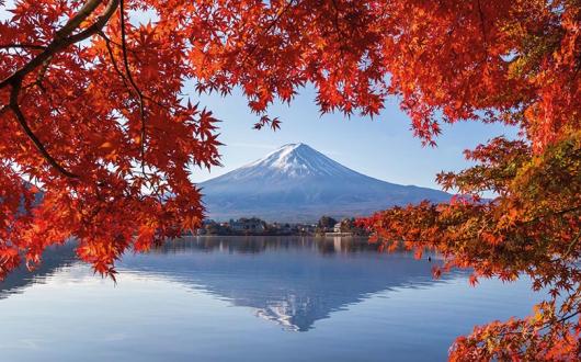 Donnelly: 'Businesses driven by values and purpose are going to be the ones that come out of Covid as leaders.'