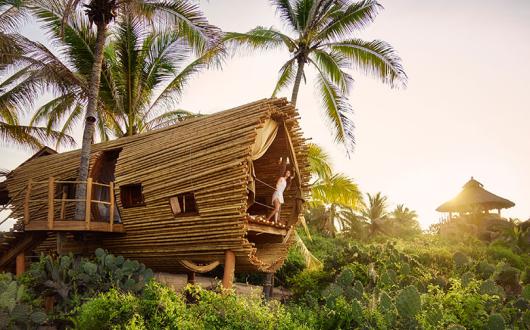 Treehouse-room-at-Playa-Viva.jpg