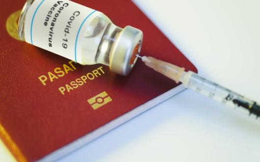Tui has said it won't require its guests to be vaccinated against Covid-19 to travel