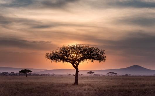 Oasis offered overland trips in Africa, South America and Asia (Credit: Hu Chen / Unsplash)