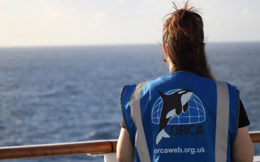 Several Orca cruise conservationists will join Fred Olsen's summer programme