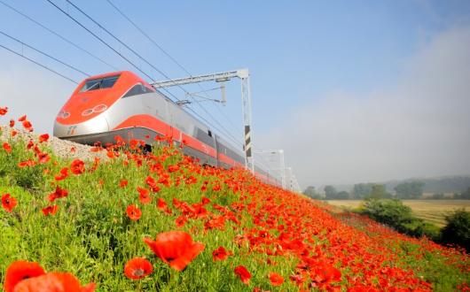 A third of Exodus trips from the UK are now available with rail rather than flight options