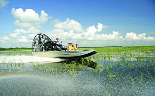 Wednesday 14 July - 2