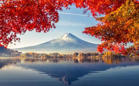 Wendy Wu Tours is offering free flights to Japan for group departures in 2022 and 2023