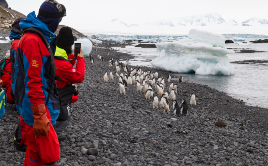 The cruise line partnered with the #WeTwo Foundation to take 10 nominated underprivileged teens on the expedition (Photo: Chelsea Claus)