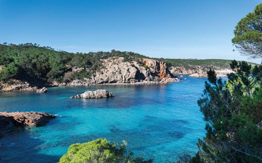 Why we need to get travelling again – an agent's trip to Ibiza