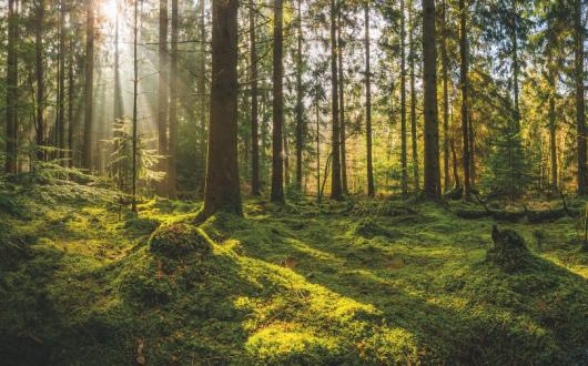 Travel leaders were united in their damnation of the government's 'amber plus' category (Credit: iStock)