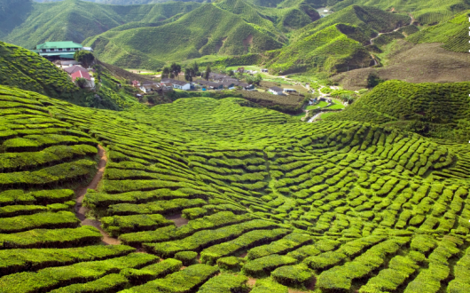 A three-day Borneo Rainforest experience has been added to offer an "authentic jungle stay"