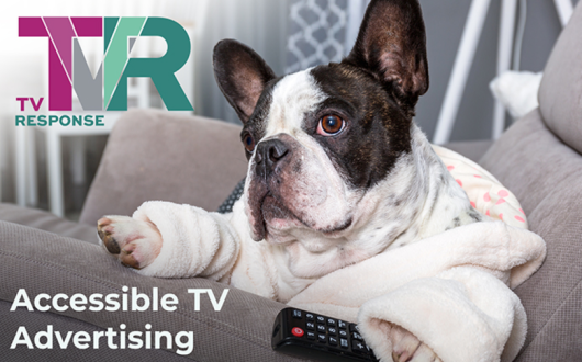 TV ad agency offering 'feasible alternative' for smaller brands