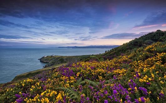 Reveal the island of Ireland to your clients