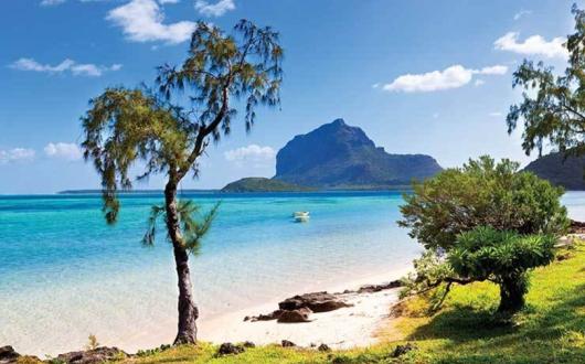 The country's herd immunity threshold of 60% vaccination in adults was passed on Monday (30 August)