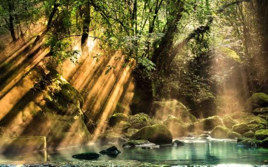 The scheme is already available on 100% of the company's trips in Asia, with a total of 98 experiences across the globe