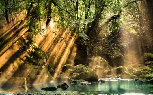 TTC brands offer tours to remote parts of the globe.