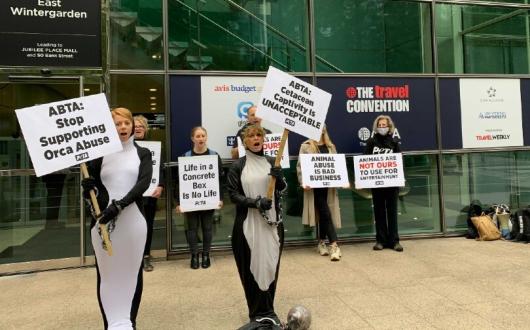 Protestors could be seen outside of the convention on Wednesday morning (13 October)