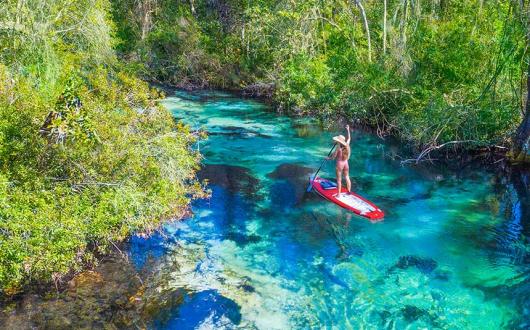 Stand-up paddle boarding in Weeki Wachee, Florida