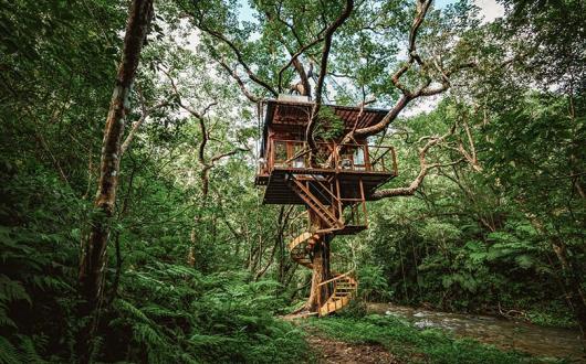 Treeful Treehouse eco-resort, Japan