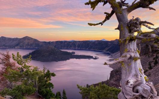 Crater Lake in Oregon is one of the destinations featured in Intrepid Travel's new US itineraries (credit: Intrepid Travel)