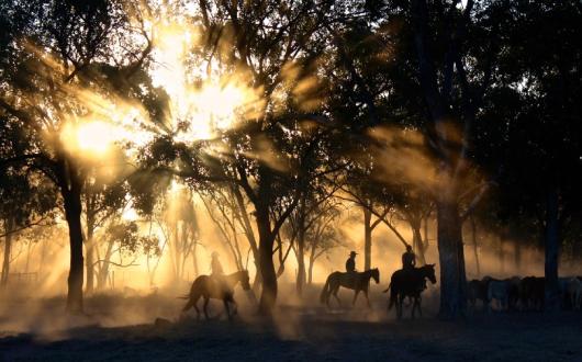 (Credit: Tobias Keller/Unsplash)