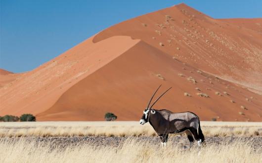 VistaJet's range of recommended Private World trips include an adventure in Namibia 