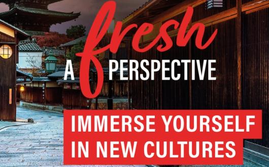 Assets created for the campaign feature 'bright and vibrant designs'