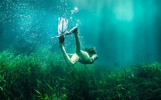 Ocala Springs was among the Floridian destinations showing the biggest growth in UK visitors