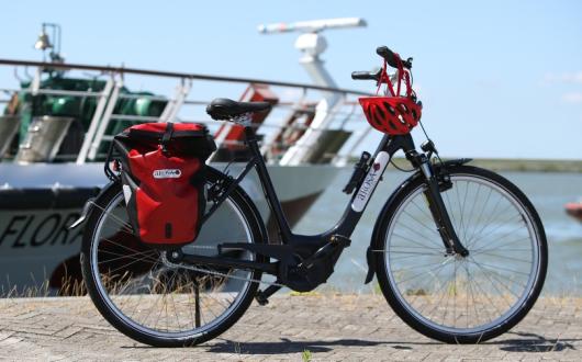 E-Bike_Excursion-ROSA.jpg