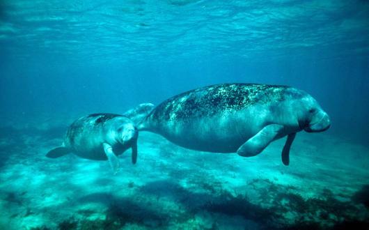 How Tampa Bay's new tourism product is putting the city in the spotlight