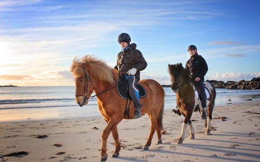 Hurtigruten highlights summer voyages in Norway