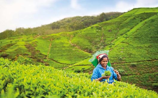 Win 1 of 10 places on G Touring's TTG Sustainable Travel Heroes fam trip