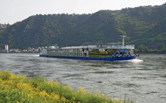 MS Arena has finally debuted after a lengthy delay owing to the pandemic