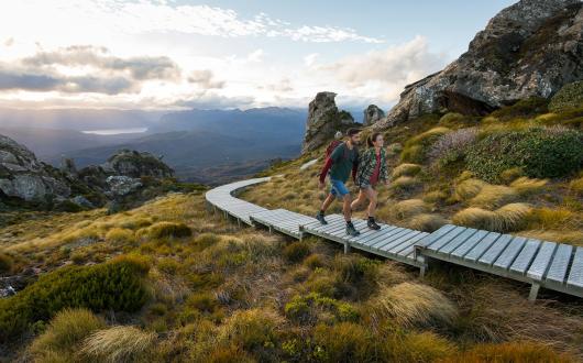 Tuatapere Hump Ridge Track Walk is new to the Great Walks network. Picture by Graeme Murray
