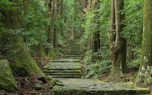 Once a sacred pilgrimage route, the Kumano Kodo can now be walked by anyone