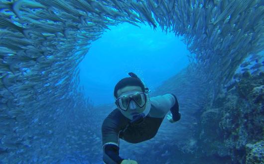 Diving in the waters of the Galapagos Islands