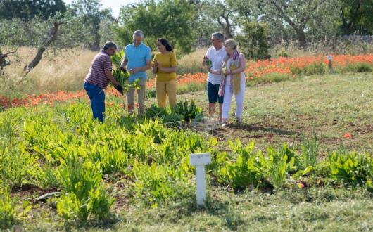 There are more than 550 Make Travel Matter experiences across all TTC itineraries