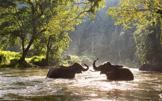 ‘Whatever your role, you can help customers understand which animal activities to avoid’