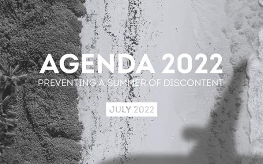 Agenda22report.jpg