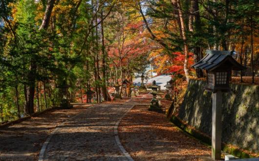 The easing comes just in time for Japan's autumn season (Credit: Lucas Calloch / Unsplash)