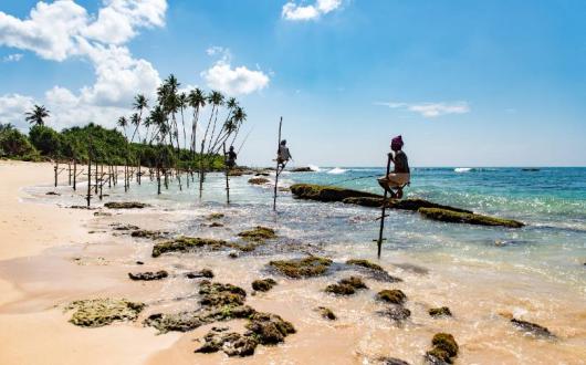 Mirissa Beach in Sri Lanka. Credit: Daniel Klein on Unsplash