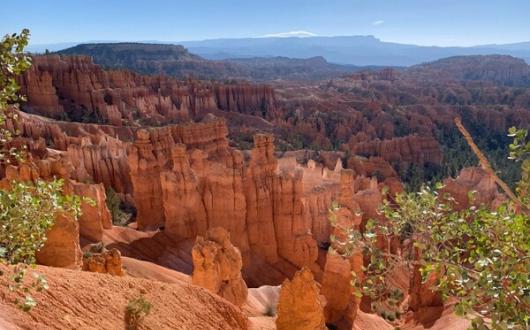 Dawn_at_Bryce_Canyon_Claire_Dodd_METhumb.jpg