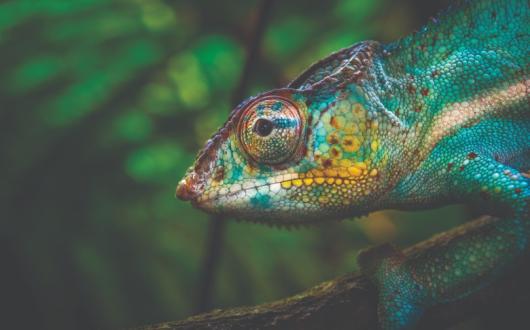 10 ways to promote sustainability in your marketing