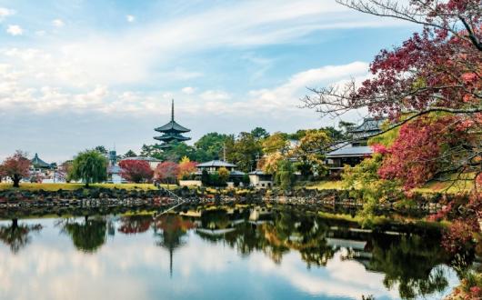 (Credit: Jo Sorgenfri / Unsplash)