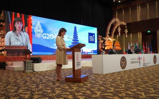 Julia_Simpson_addresses_G20_Tourism_Ministers_1.jpg