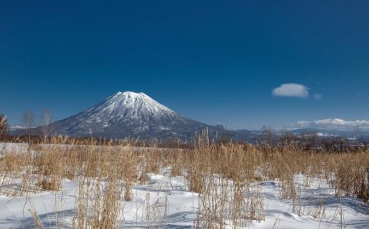 Crystal is offering Japan for the first time this winter (Credit: Marek Okon / Unsplash)
