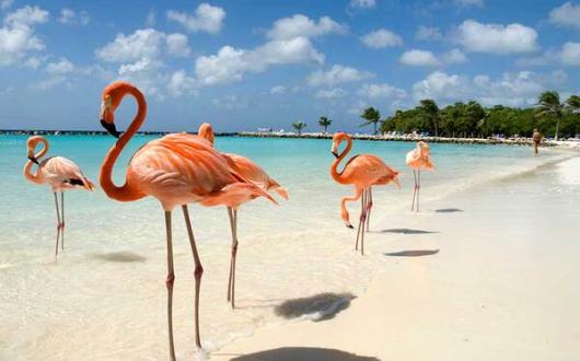 Aruba-iStock-170618386_METhumb.jpg