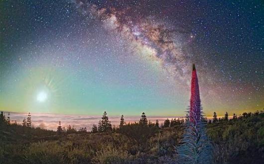 Observacion-de-estrellas-tajinaste-Parque-nacional-del-Teide_METhumb.jpg