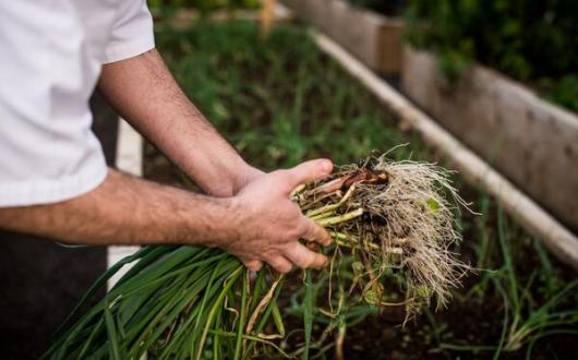 (Credit: The Travel Corporation / Julia Dunin Photography)