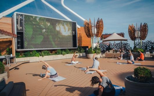 All Celebrity ships, including Apex, offer yoga classes 